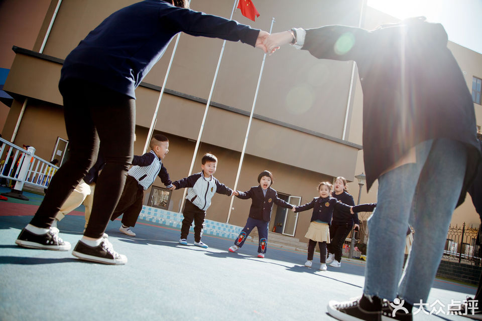 大鲨鱼国际幼儿园图片