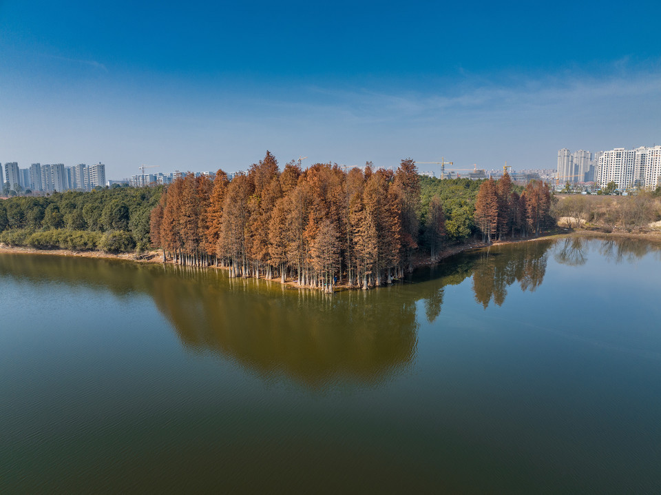 金满湖公园图片