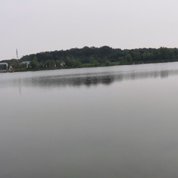 t0132b96fb2b8379316.jpg