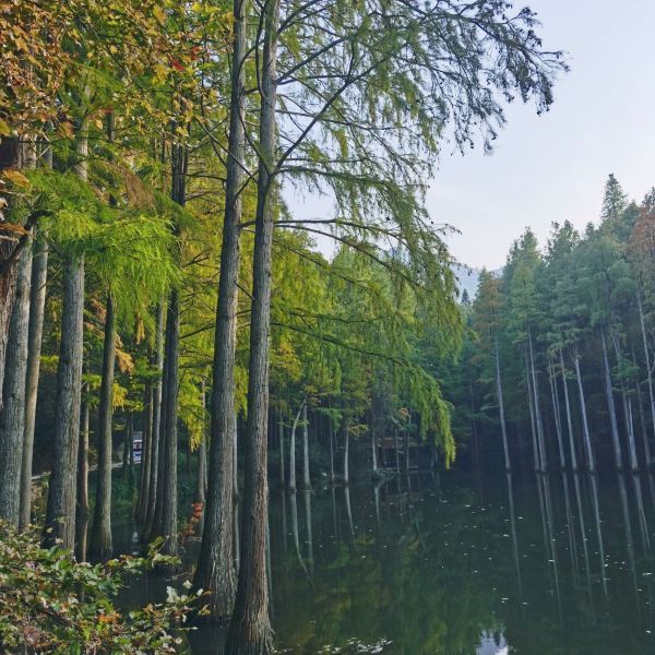 波爾登森林公園