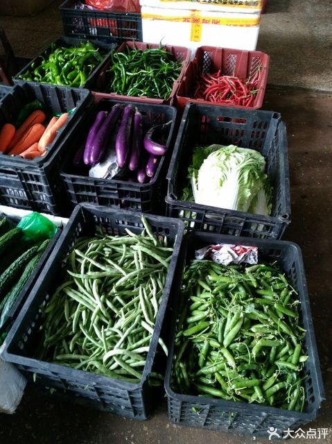 耒阳蔬菜批发哪里进货