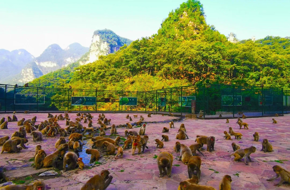 【山西阳城蟒河景区附近发生山洪冲走车辆】地址,电话,路线,周边设施