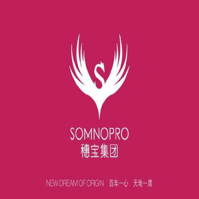 穗宝床垫(红星美凯龙汶水路店)图片