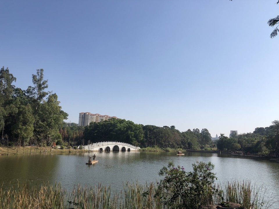 阳江市金山森林公园图片