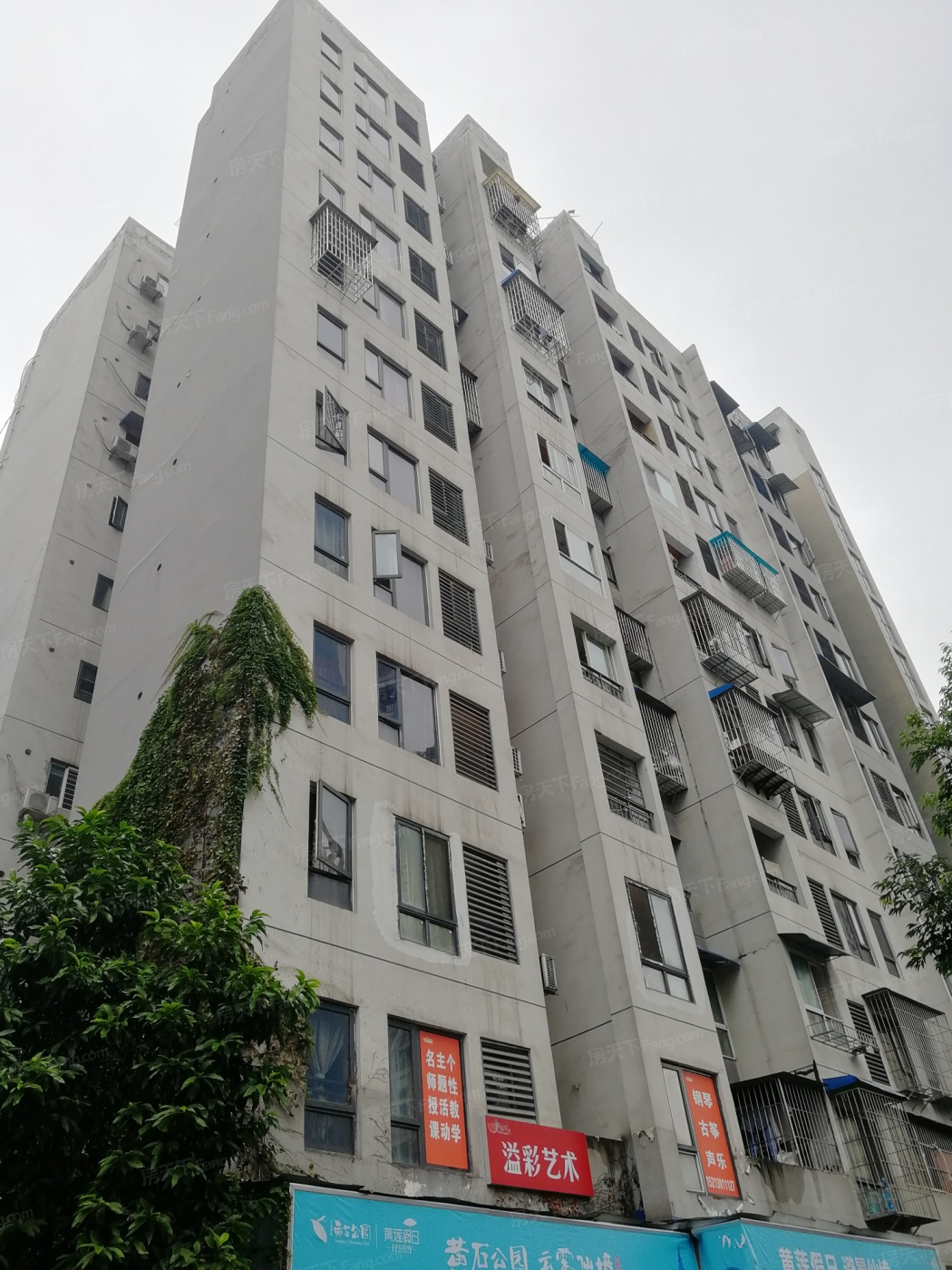 南方苹果派二期图片