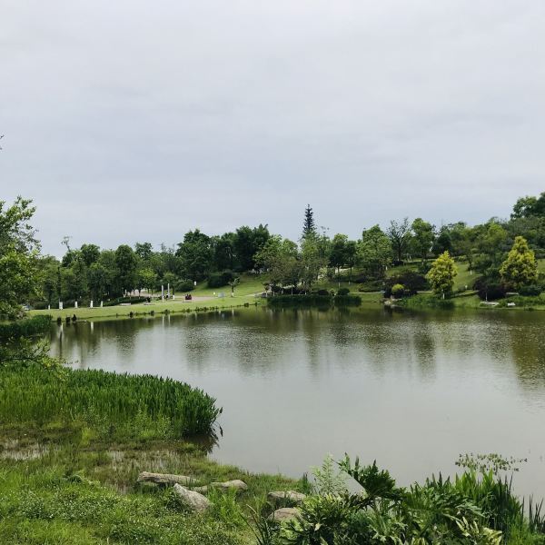 臥龍湖溼地公園圖片