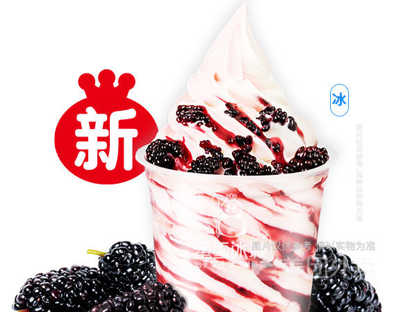 蜜雪冰城二中店