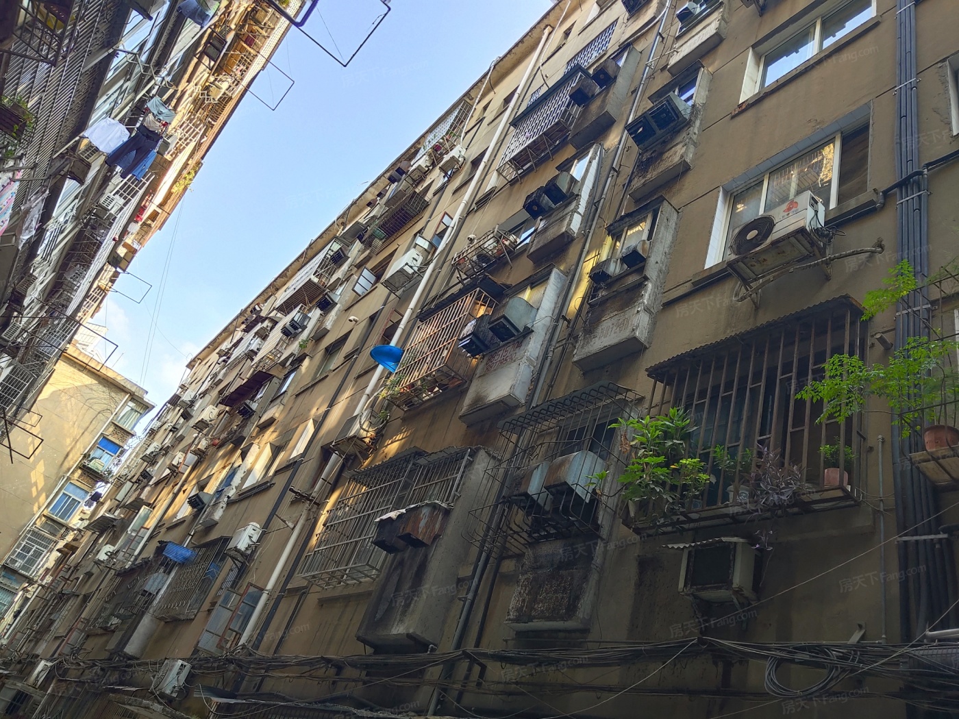 苏圃路省党校小区