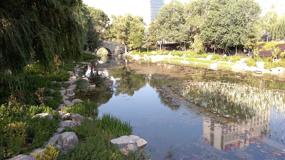 怎么去,怎么走,在哪,在哪里,在哪儿):固原市原州区和平街和平门电话