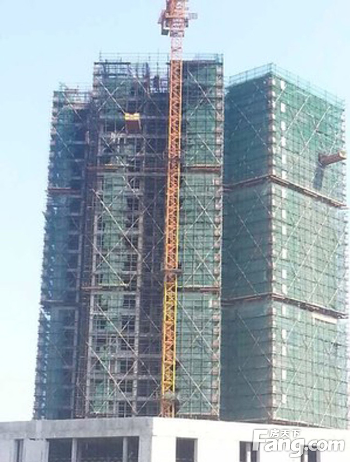 玉环金光大厦图片