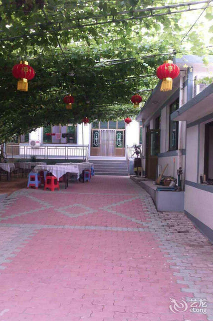 昌黎葡萄沟百顺饭庄图片