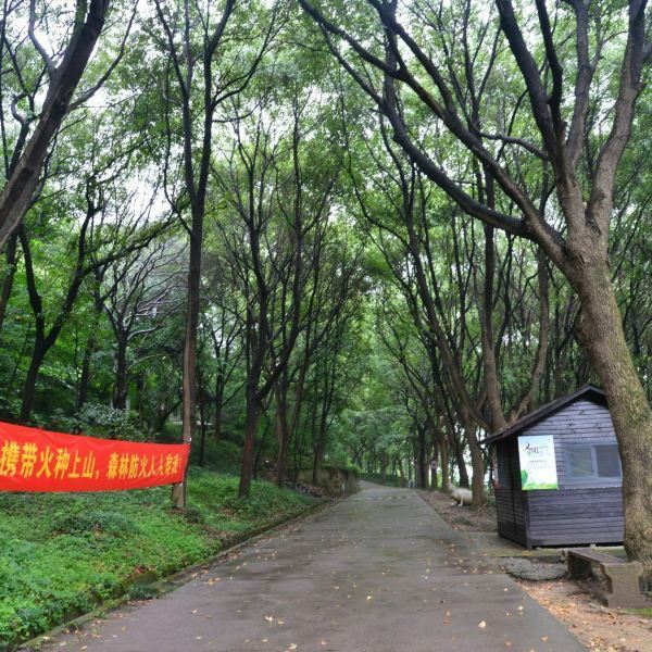 【何山公园】何山公园门票,何山公园游玩攻略_360地图