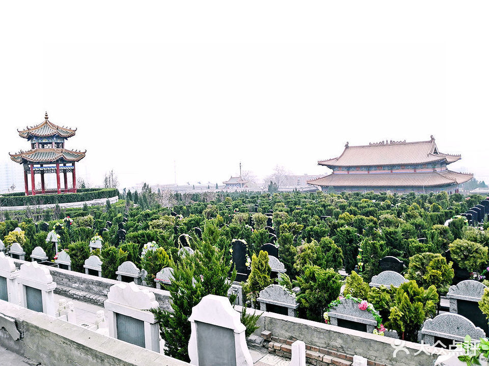 洛阳邙山公墓图片