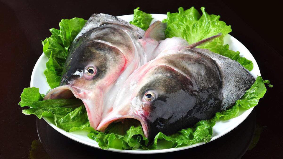 涮锅大鱼头图片