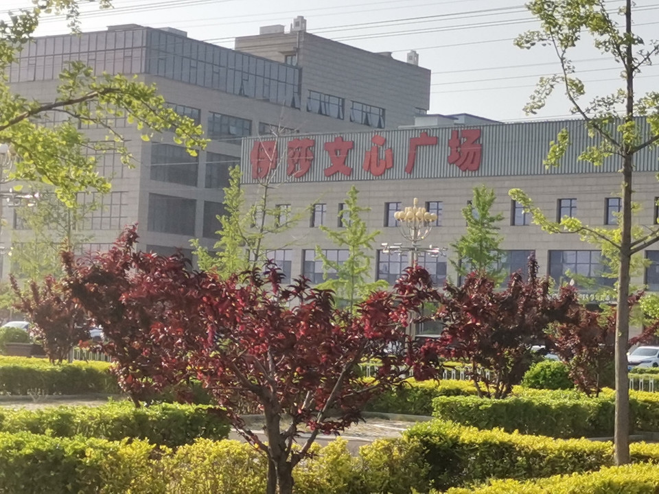 伊莎文化中心图片