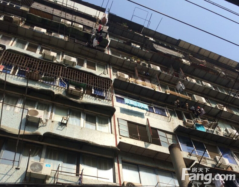 球场街花鸟市场