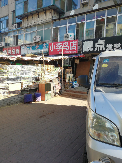 小李鸟店图片