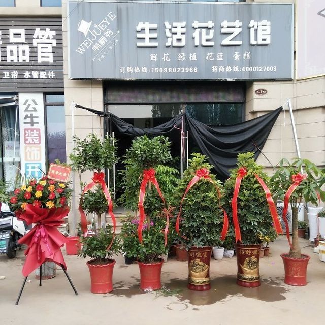 韦爵爷生活花艺馆
