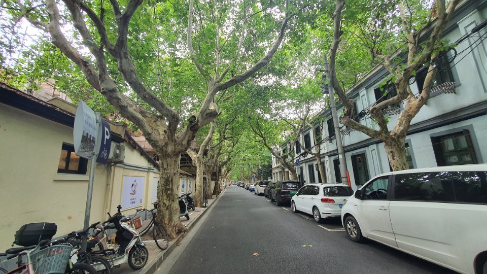 地址(在哪里):香山路位于上海市黄浦区香山路(瑞金二路至南昌路)介绍