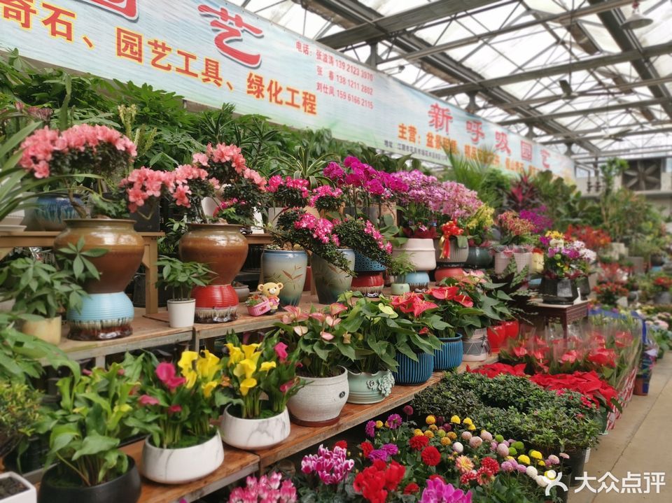 江阴花鸟市场,宜兴市花鸟市场,丁蜀镇花鸟市场,南下塘花卉市场,江阴市