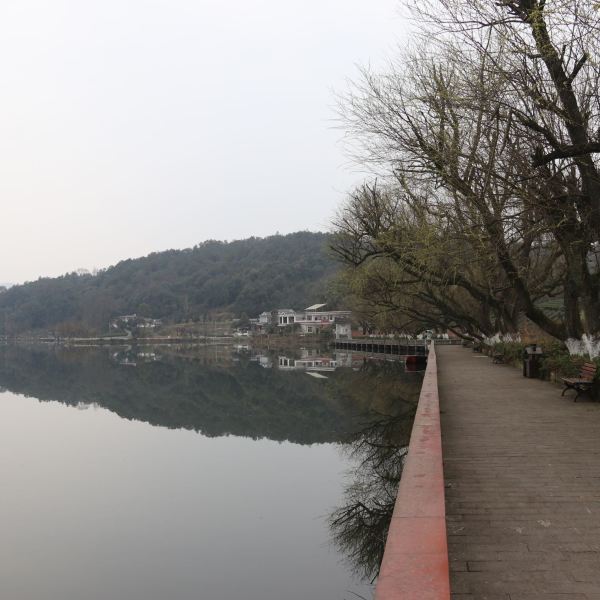 清漪湖