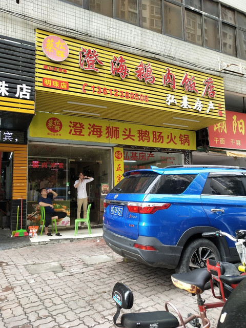 澄海鹅肉饭店(明珠店)图片