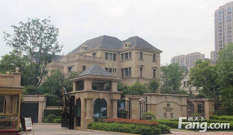 开元广场-悦墅图片