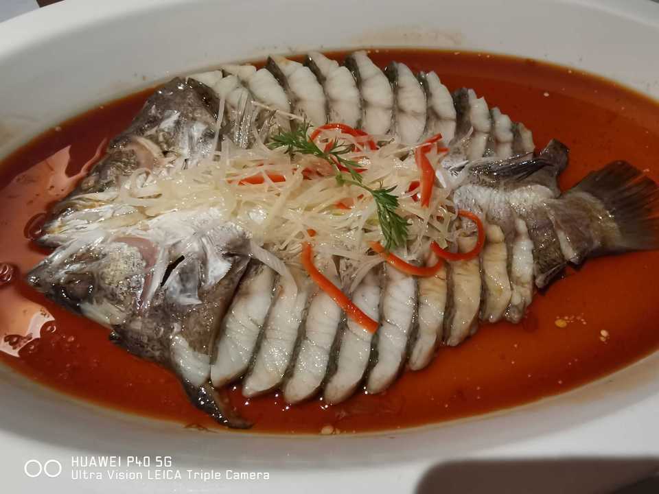 鱼类图片大全电子版 t0141a0905f597eec64.jpg