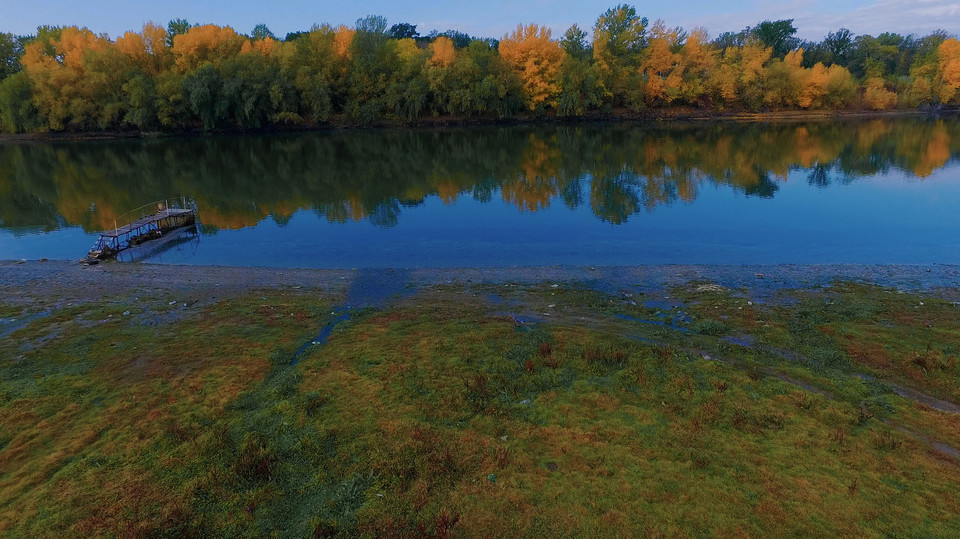 西排子河湿地公园图片