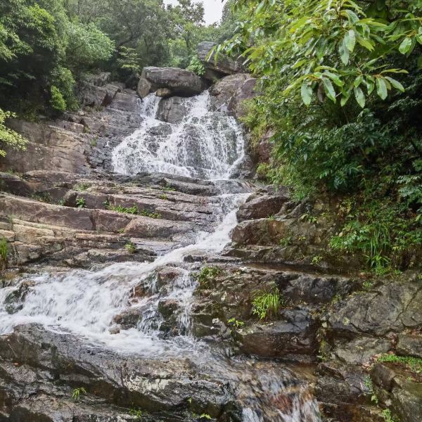 栲栳山景区图片
