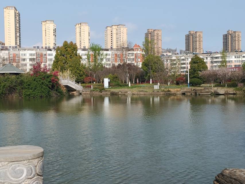 桐城市西郊公园图片