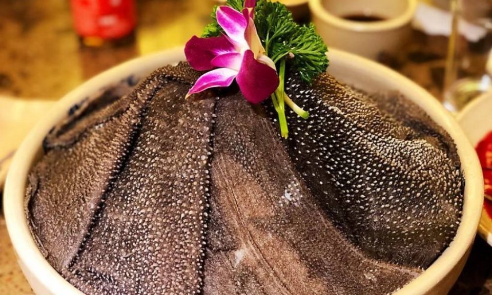 小龙坎老火锅桃花园店