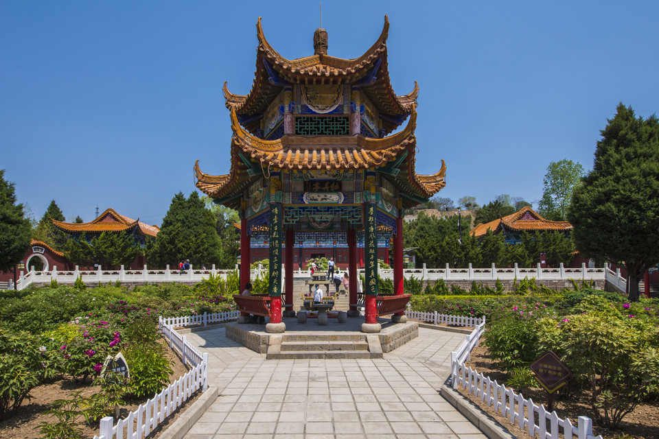 古县牡丹文化旅游区天下第一牡丹图片