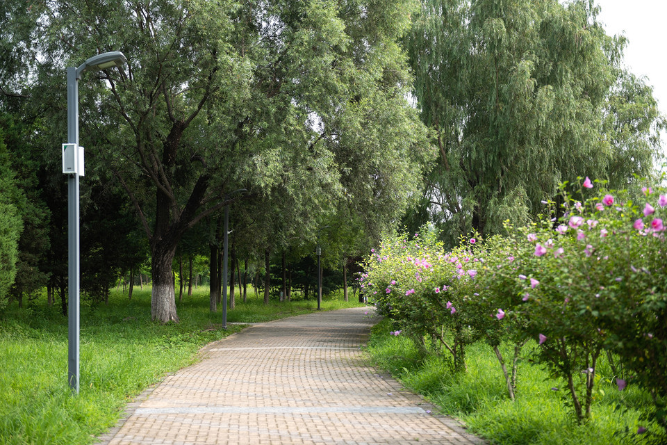 太平郊野公园图片