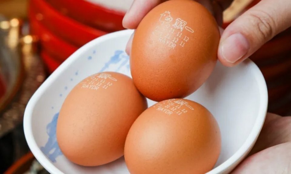 朝一无菌蛋图片