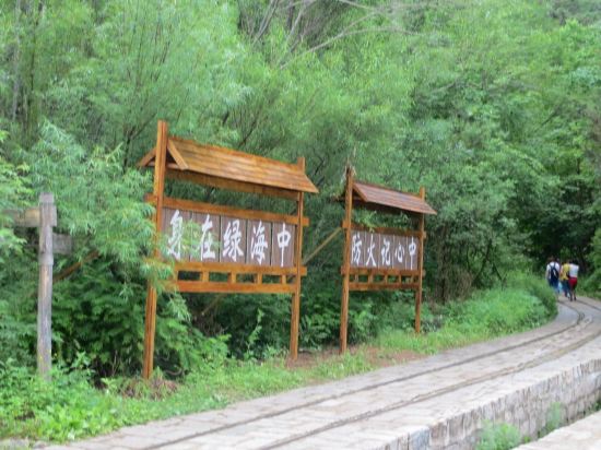 伊春五營國家森林公園綠野仙居度假村