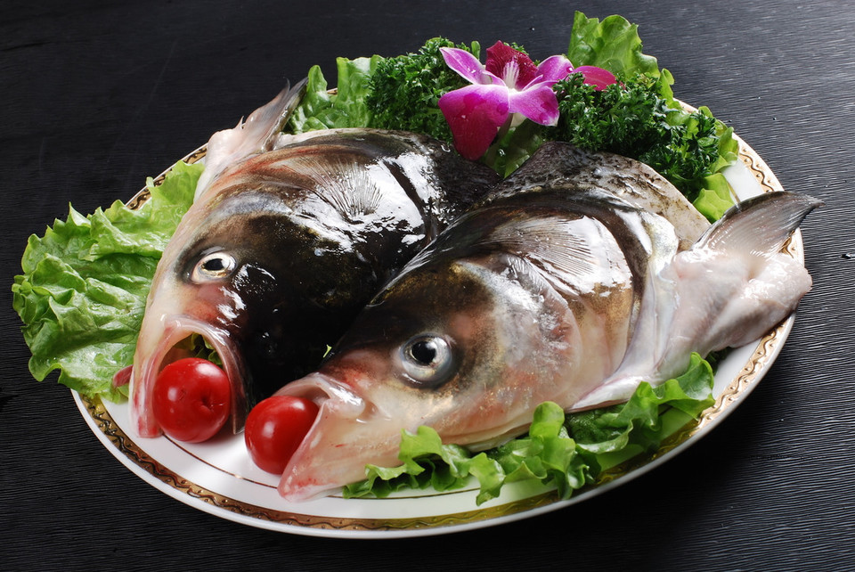 蛙老倌美蛙鱼头车立方店