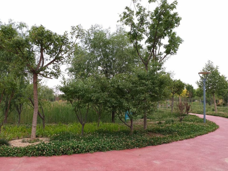 怎么去,怎么走,在哪,在哪里,在哪儿):邢台市威县洺州镇电话:北海公园