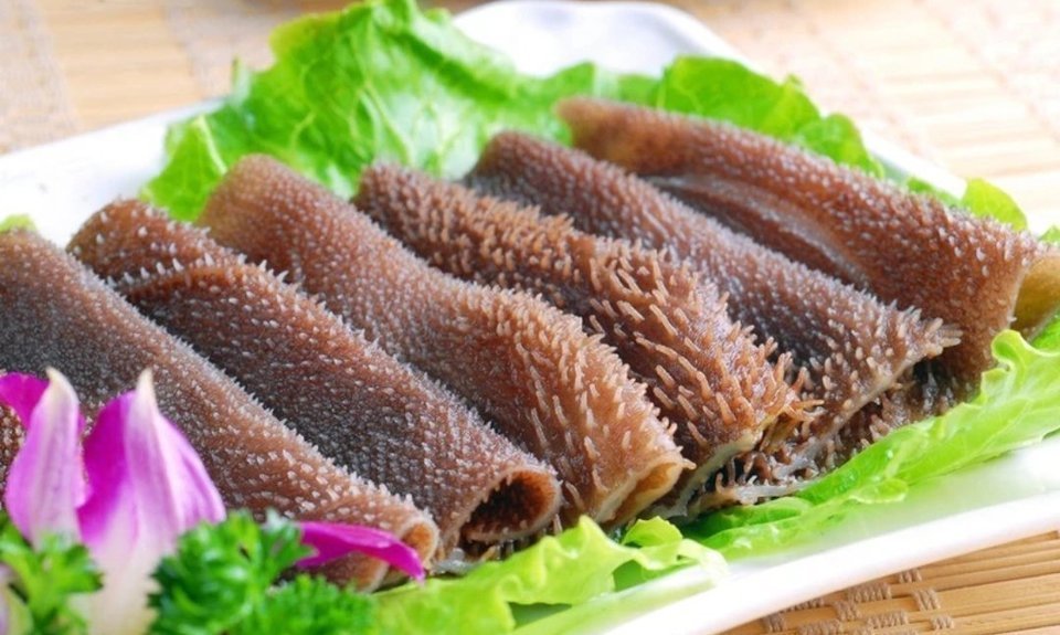 【蜀芳珍火锅店(临泽店)】蜀芳珍火锅店(临泽店)电话_蜀芳珍火锅店(临