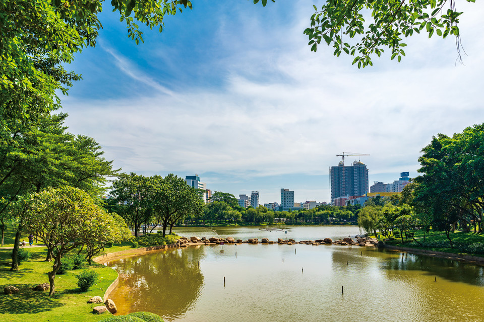三水区西南街道