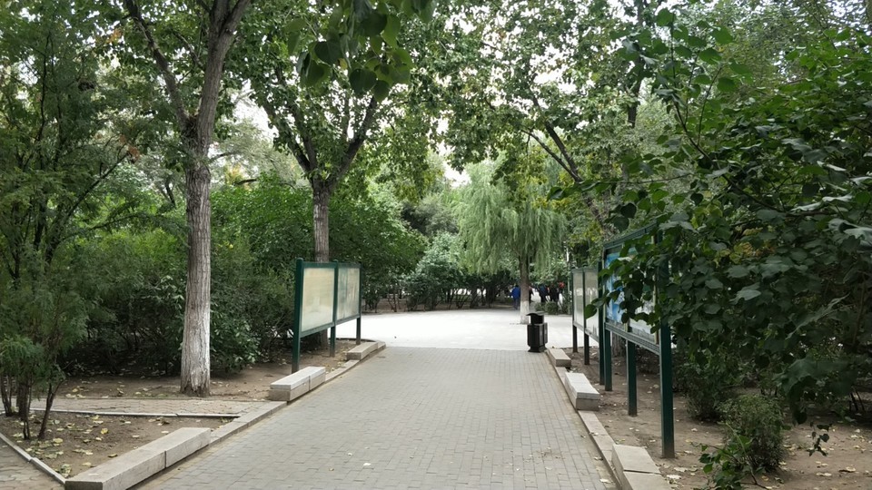 怎么去,怎么走,在哪,在哪里,在哪儿):哈尔滨市香坊区劳动公园(松乐街