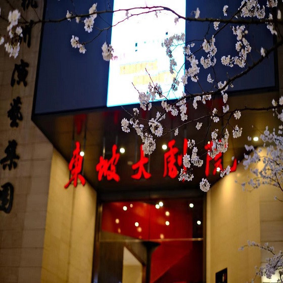 东坡剧院金海岸大舞台图片