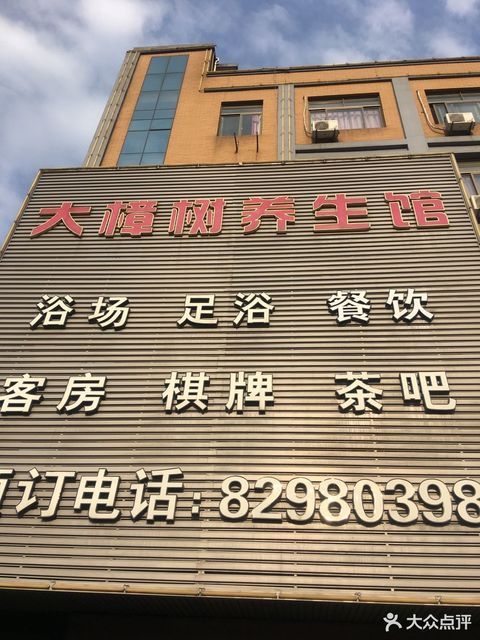 大樟树养生馆图片