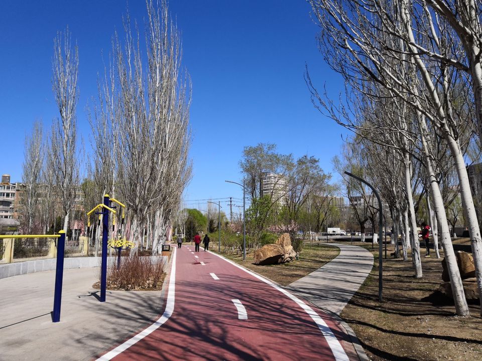 电话:地址(位置,怎么去,怎么走,在哪,在哪里,在哪儿):辽宁省沈阳市