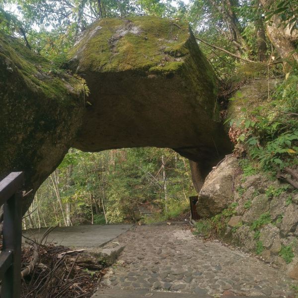 怎樣,好不好,口碑):攜程用戶:三分石景點在九嶷山國家森林公園的中心