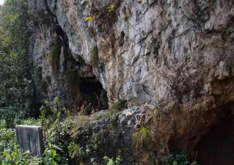 猫猫洞遗址地址(位置,怎么去,怎么走,在哪,在哪里