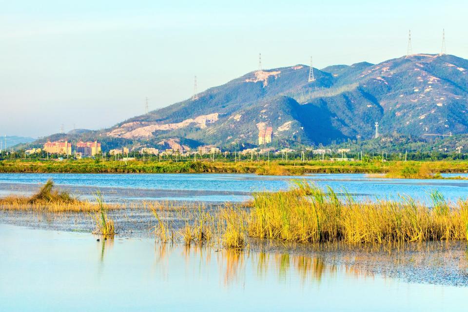 新会银洲湖湿地公园