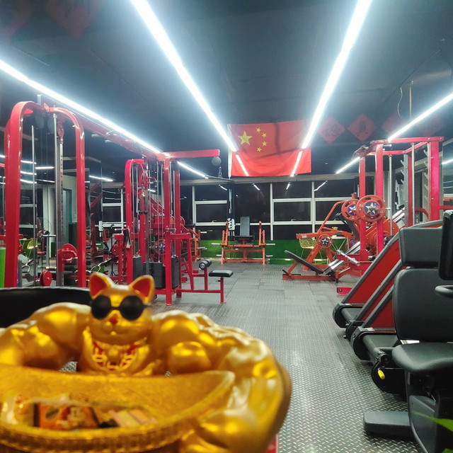 莱维健身工作室图片