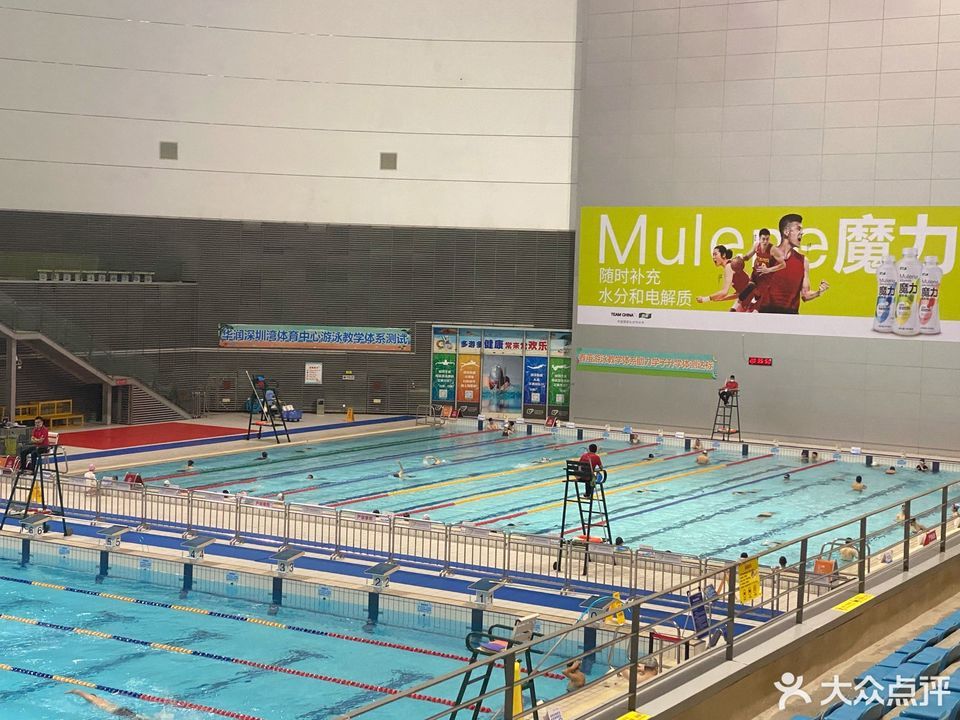 深圳湾体育中心游泳馆图片