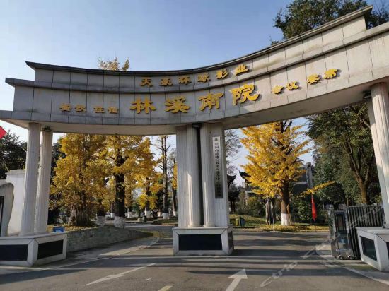 大邑林溪南院酒店图片